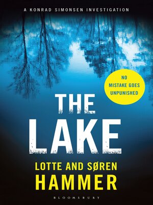 The Lake - ebook